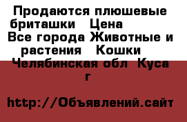 Продаются плюшевые бриташки › Цена ­ 2 500 - Все города Животные и растения » Кошки   . Челябинская обл.,Куса г.